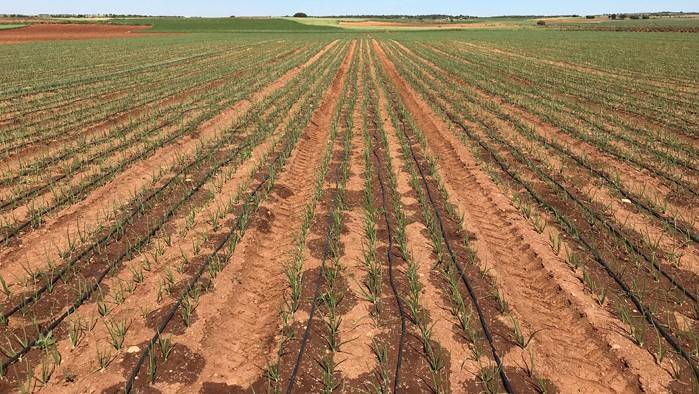 dia mundial del agua tecnologia horticola|agua-Bessi-Px|Agua-aprender